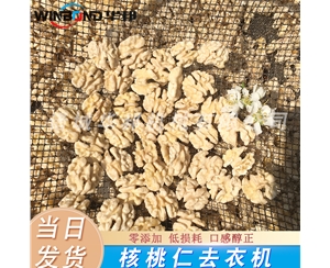 去皮核桃仁設備 每日堅果核桃仁去皮機