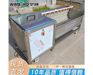 全自動土豆去皮機 土豆毛輥去皮清洗機 型號齊全