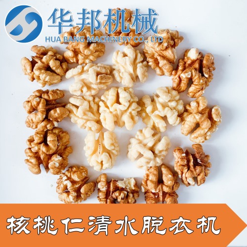 一機(jī)多用核桃仁去皮機(jī) 華邦推薦 純物理去皮機(jī)