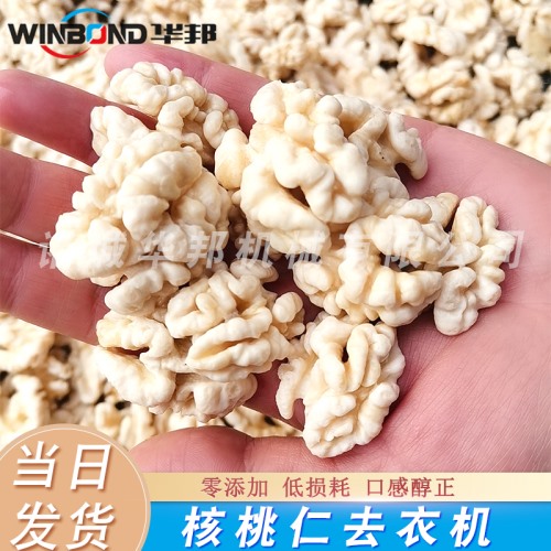 華邦核桃仁脫皮機(jī) 核桃仁脫皮機(jī)生產(chǎn)線 廠家定制