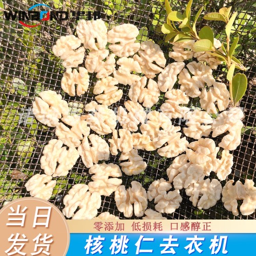 質(zhì)優(yōu)價廉 脫皮核桃仁機器 華邦核桃仁去皮機