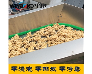 全自動核桃乳加工設備 自動分離核桃仁脫皮機 規(guī)格齊全